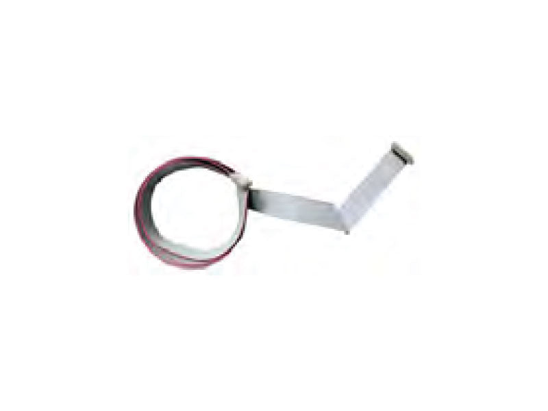 Ribbon Cable Display to Main Board Long