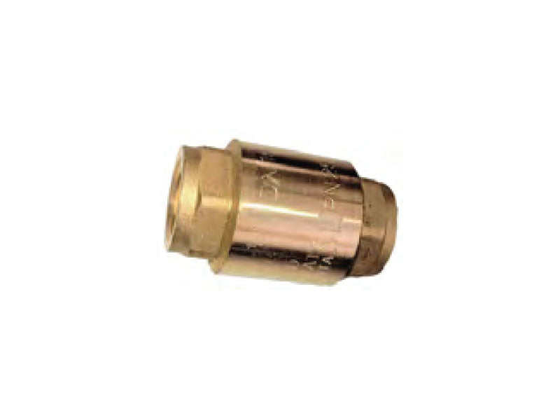 Valve Non-Return 28mm (1in)